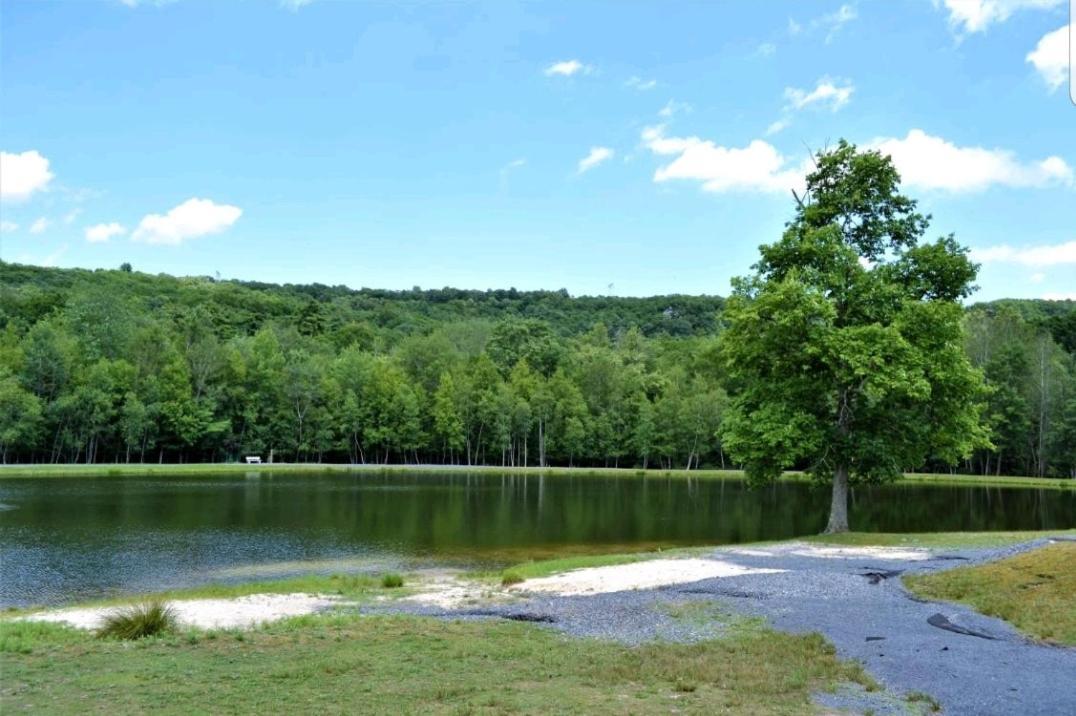 *Amenity-Filled Waterfront Oasis @Saw Creek Estates Near Waterfalls And Hiking* East Stroudsburg Luaran gambar