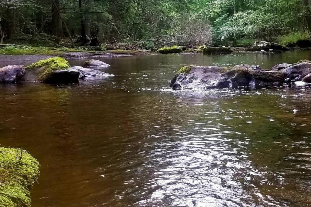 *Amenity-Filled Waterfront Oasis @Saw Creek Estates Near Waterfalls And Hiking* East Stroudsburg Luaran gambar